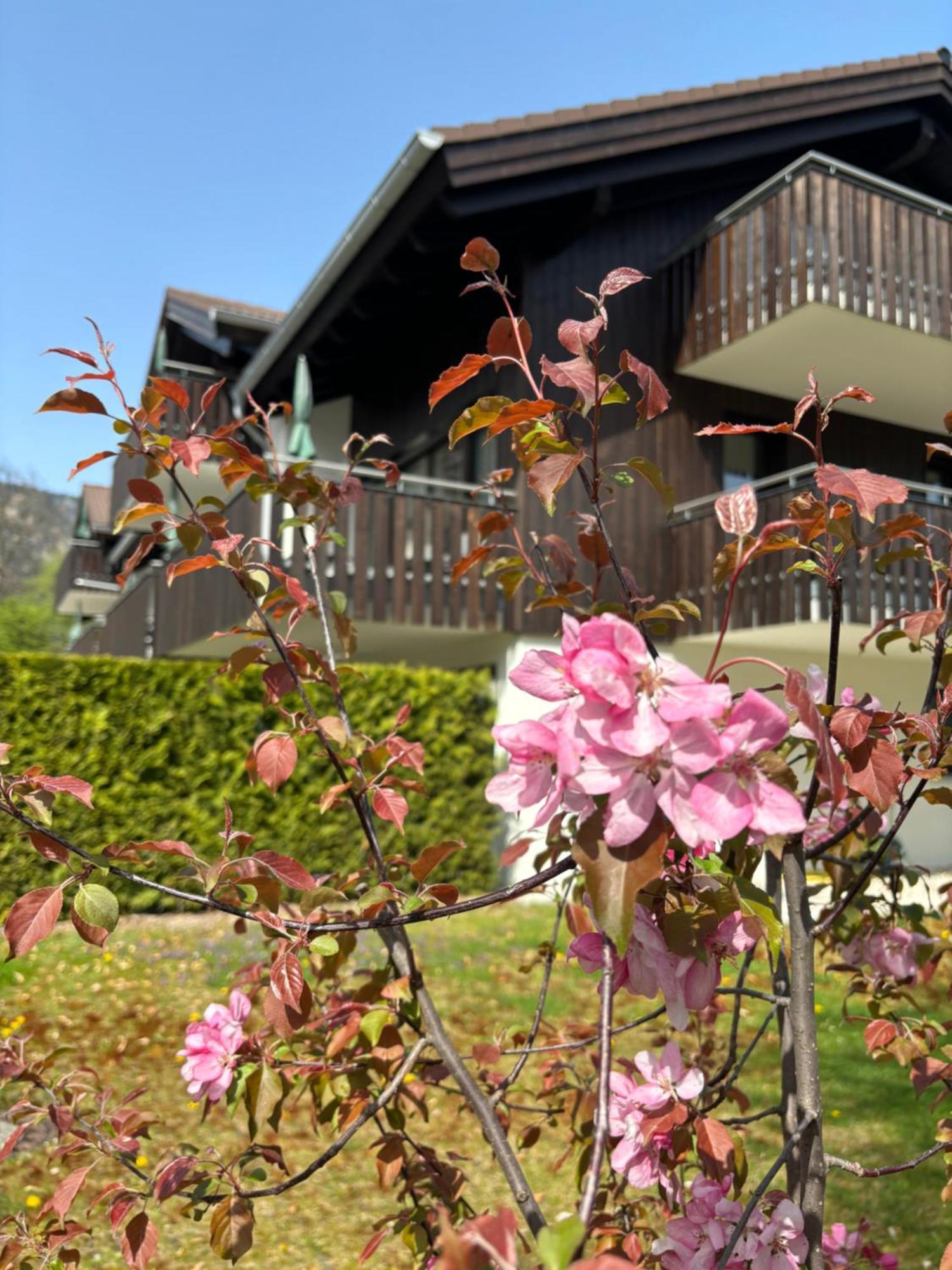 Bader Suites Garmisch-Partenkirchen Esterno foto
